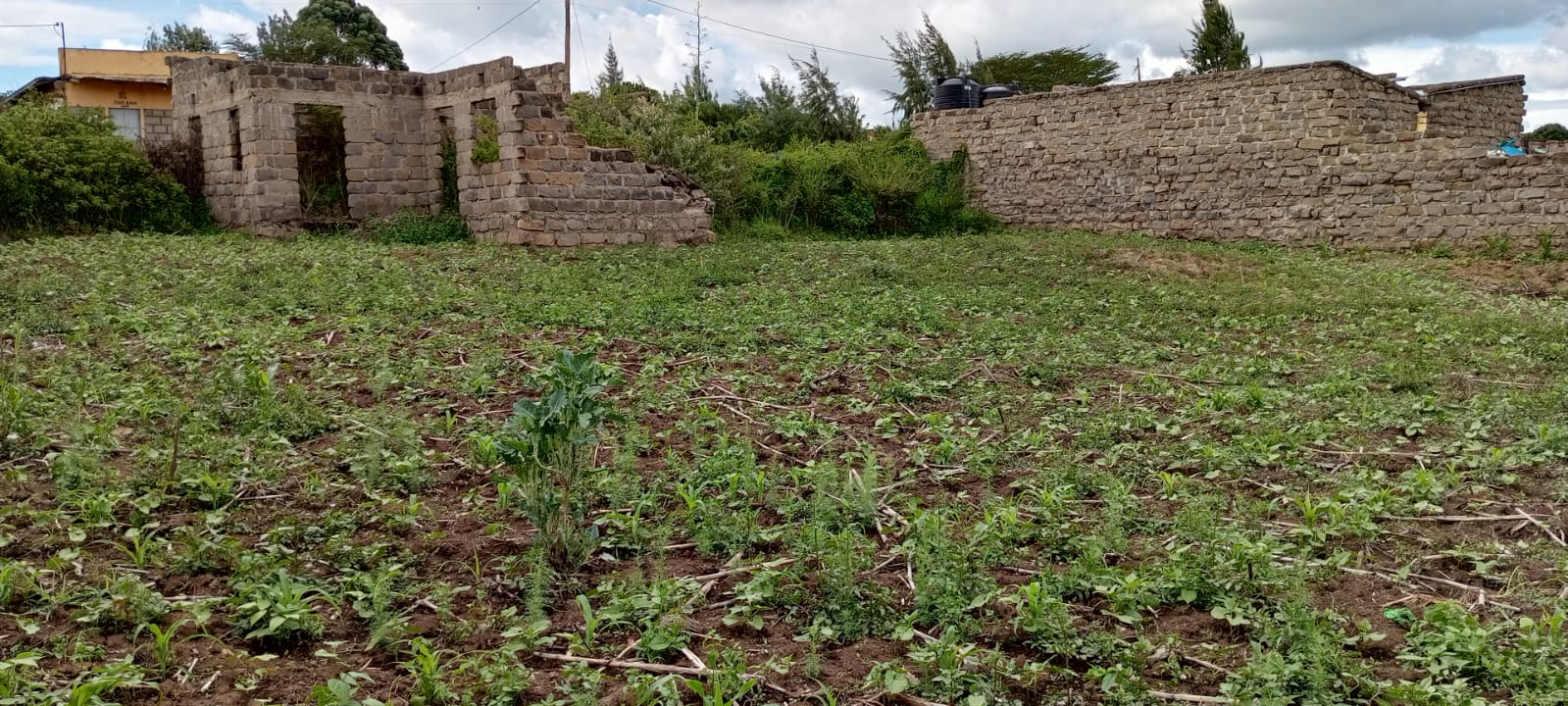 London Estate Narok well-developed neighbourhood